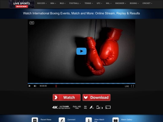 Boxing screenshot