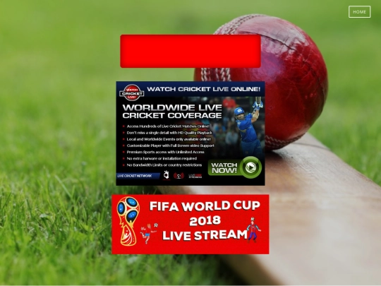 Cricket screenshot