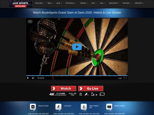 Darts screenshot