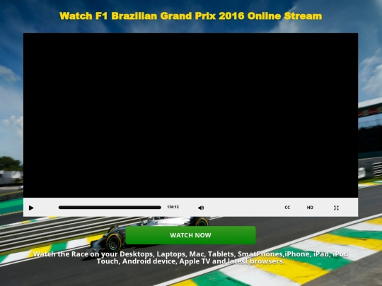 F1-BrazilianGP screenshot
