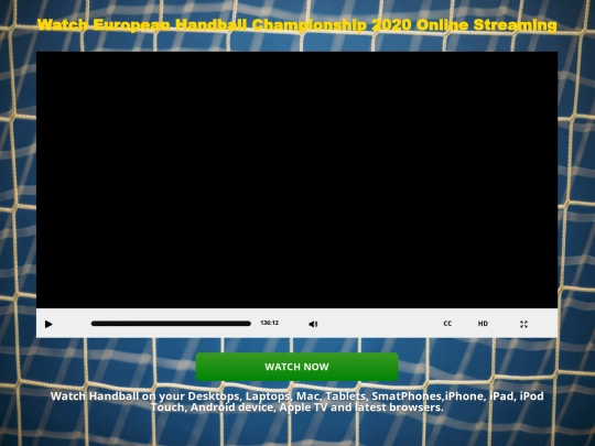 Handball-EuroChamp2020 screenshot