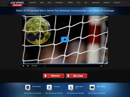 Handball-Pan screenshot
