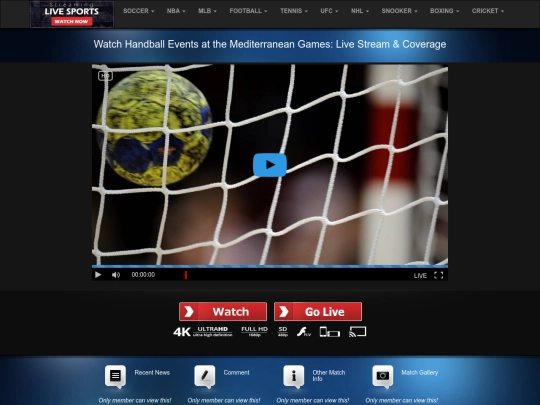 Handball screenshot