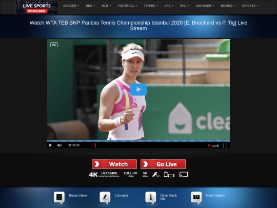 WTA-Istanbul screenshot