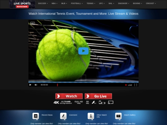 WTA-Tokyo screenshot
