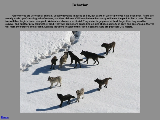gillespie_website_behavior screenshot