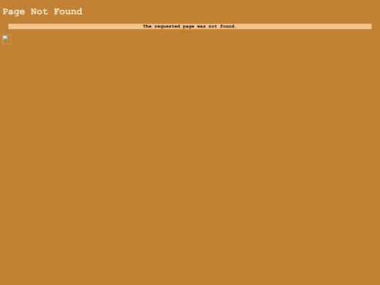not-found screenshot