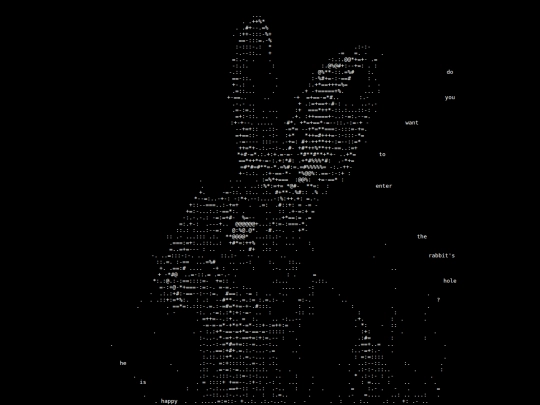 rabbit screenshot