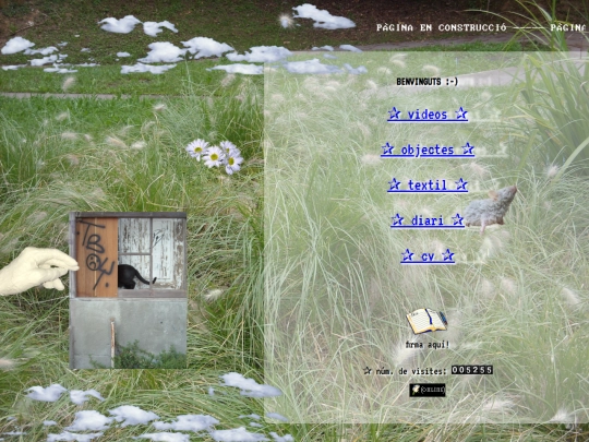 home screenshot