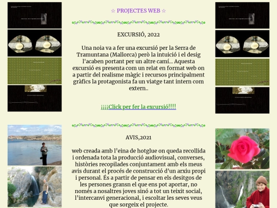web screenshot