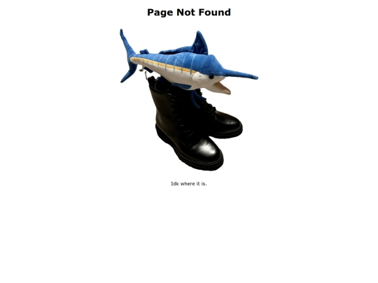 not_found screenshot