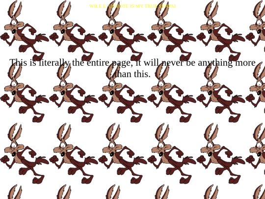 wile screenshot