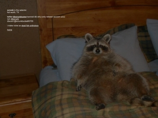 scrunk screenshot