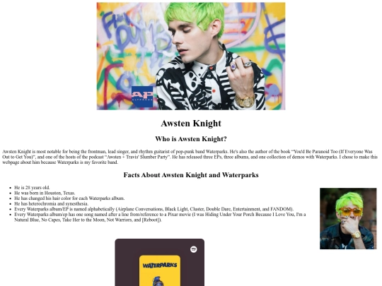 firstwebsite screenshot