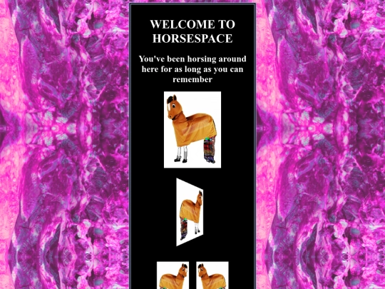 horsespace screenshot