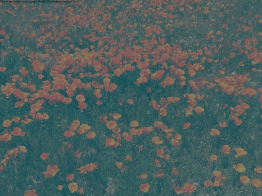 newtest screenshot