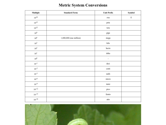 school/metricsystem screenshot