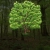 picturesoftrees.yorniq.xyz avatar