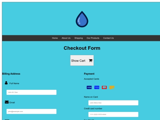 checkout screenshot