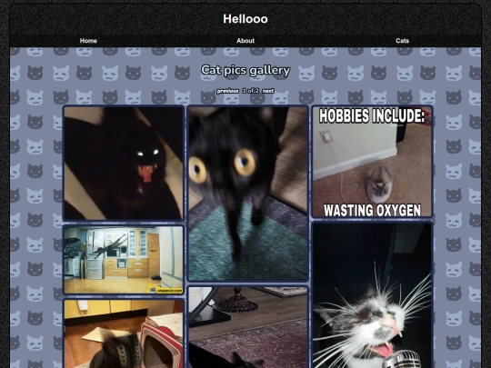 cats screenshot