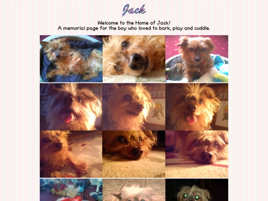 jack screenshot