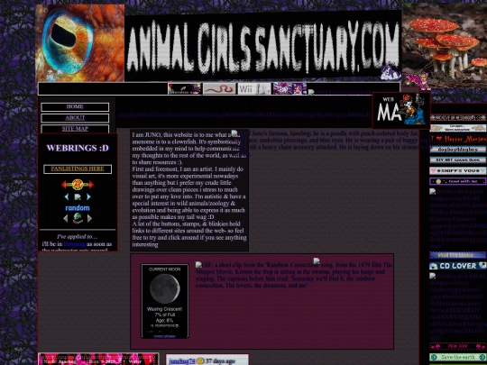 homeB screenshot