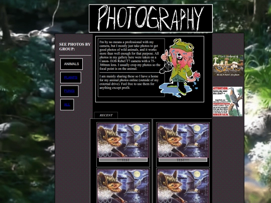 photography screenshot
