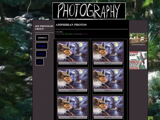 photos/amphibphotos screenshot