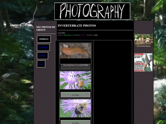 photos/invertphotos screenshot