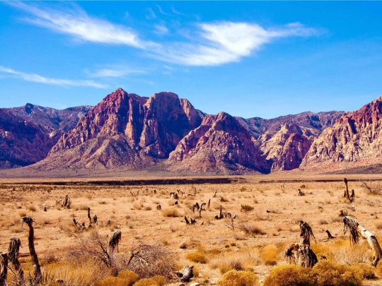 desert screenshot