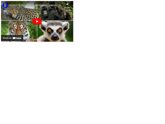 practicas.html/video screenshot