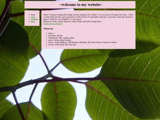 index screenshot