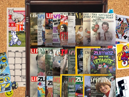 Shrines/magazine-collection screenshot
