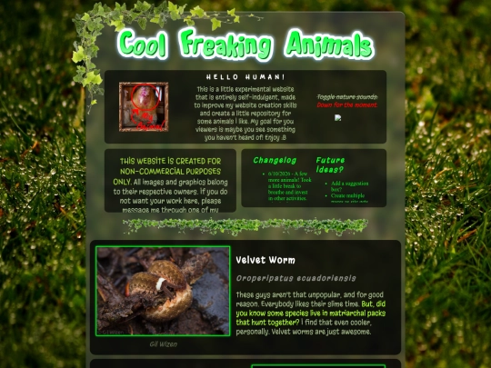 index screenshot