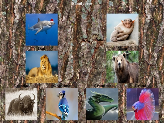 family tree screenshot
