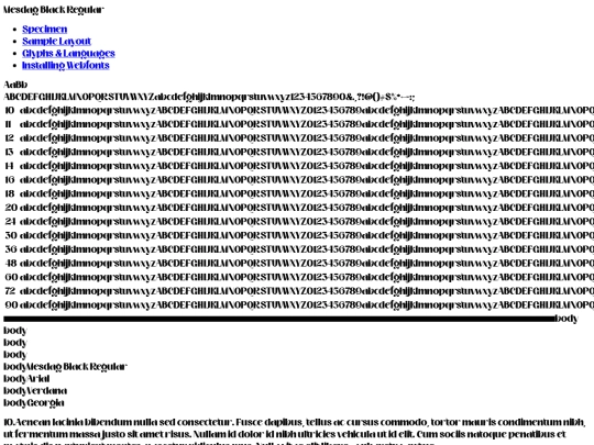 AlbumAmicorumGame/webfontkit-20220522-184911/mesdag-black-demo screenshot