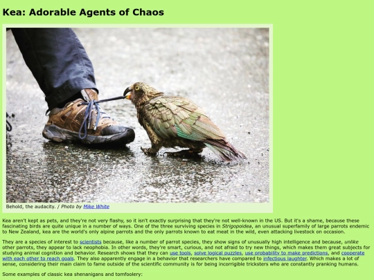 keafanpage screenshot