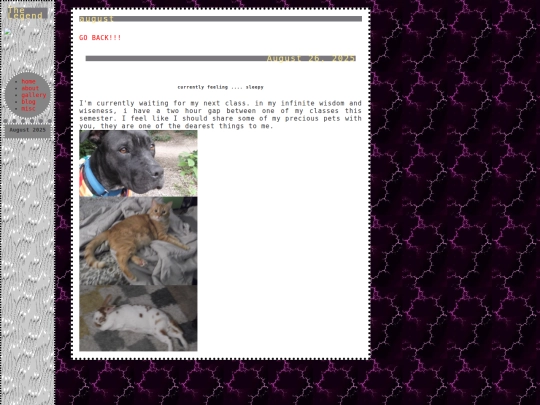 blog/82025 screenshot