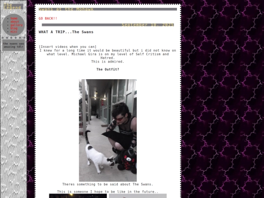 blog/swans screenshot