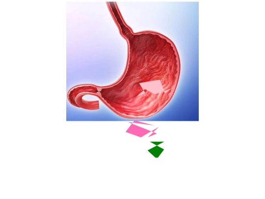 2022/digestion screenshot