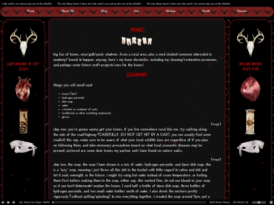 bones screenshot