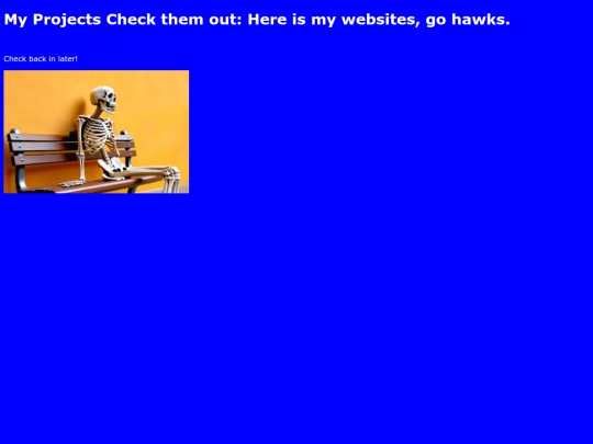 projects screenshot