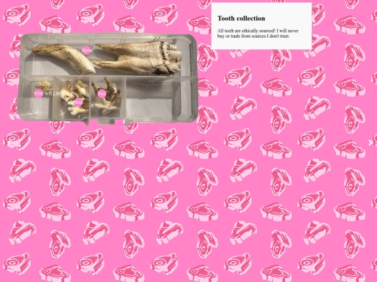 chompers/canines screenshot