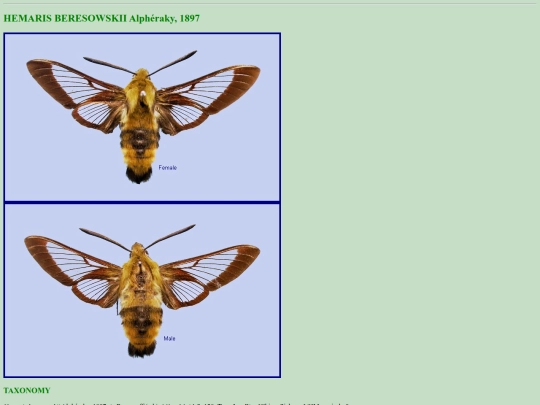 china/h_ber screenshot