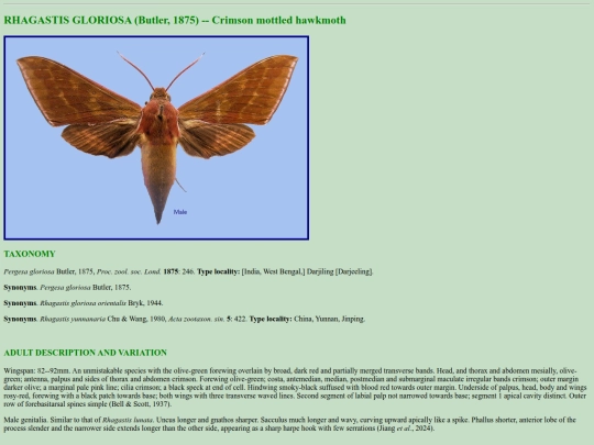 china/r_glo screenshot