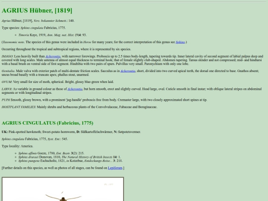 sphinx/a_cin screenshot