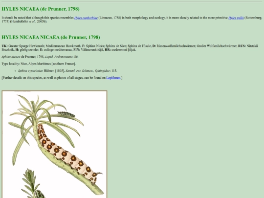 sphinx/h_nic screenshot