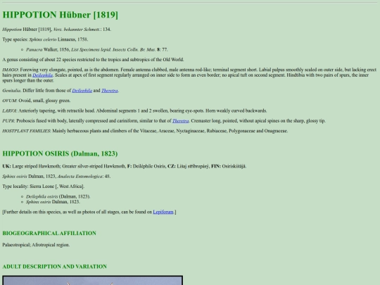 sphinx/h_osi screenshot