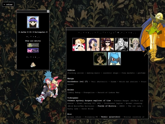 about screenshot