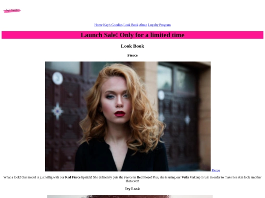 project/lookbook screenshot